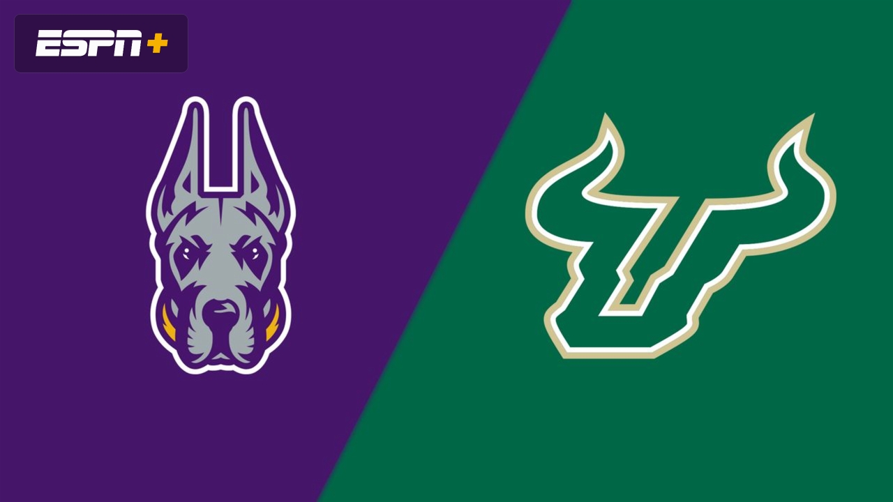 UAlbany vs. South Florida