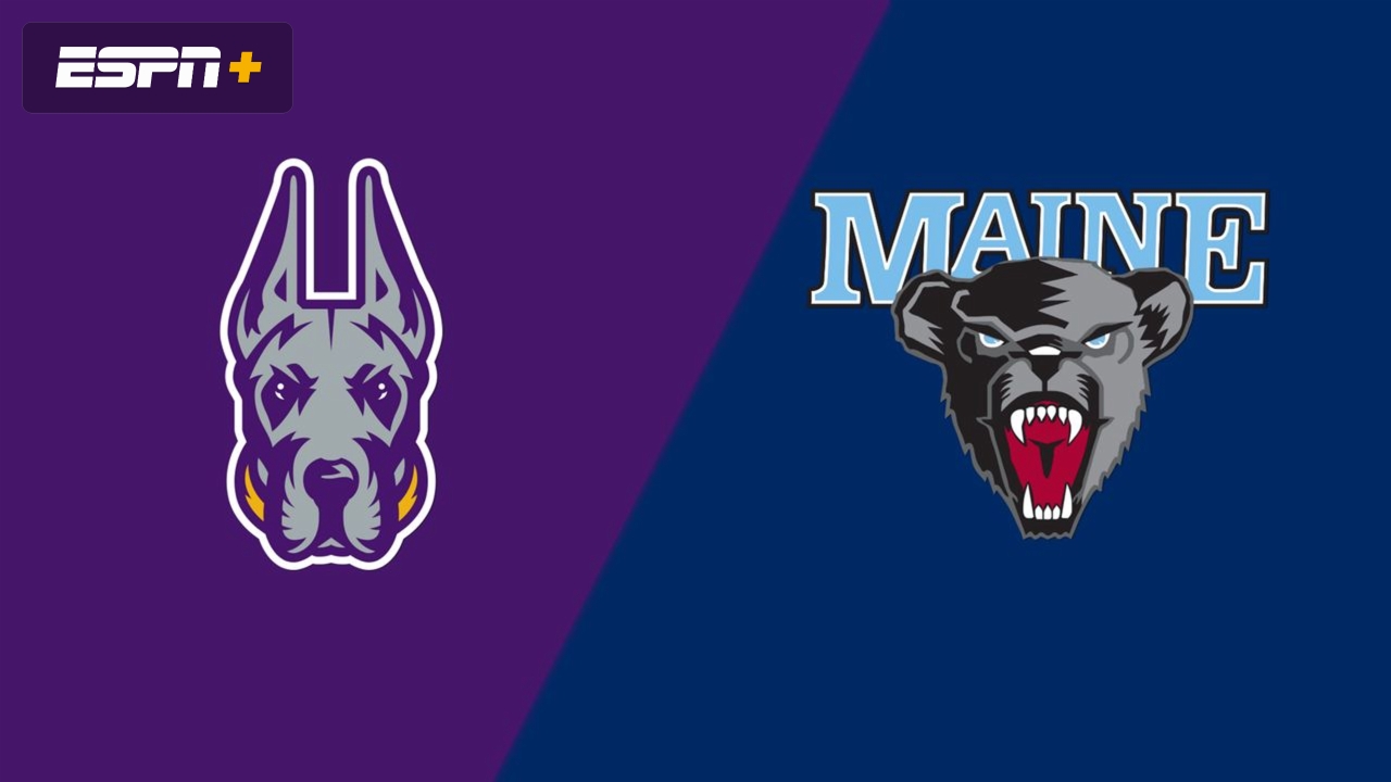 UAlbany vs. Maine
