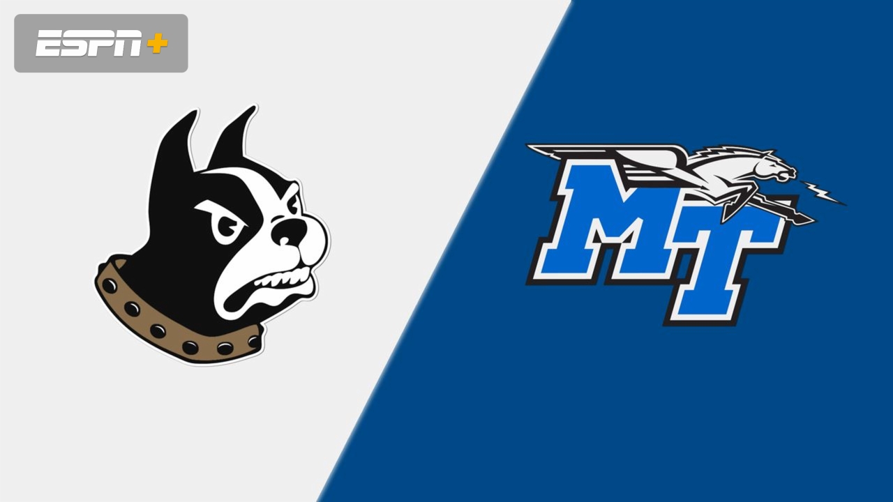 Wofford vs. Middle Tennessee