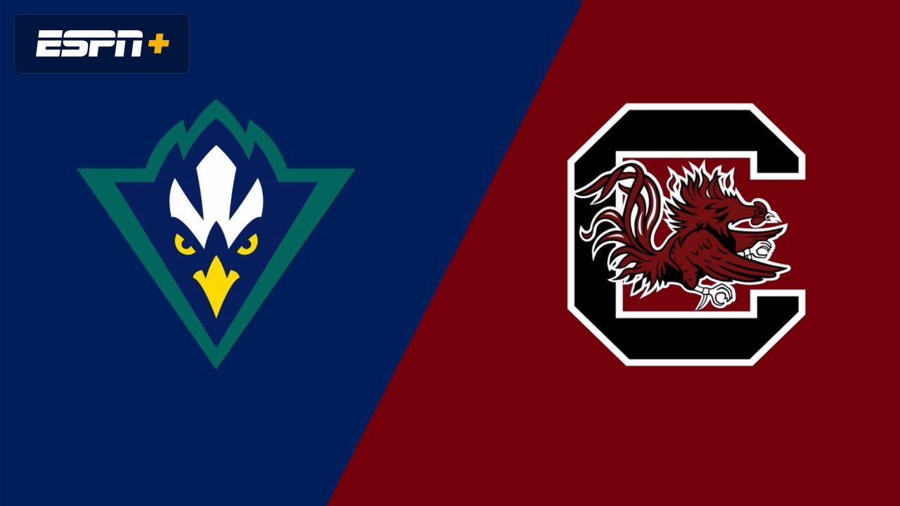 UNC Wilmington vs. South Carolina