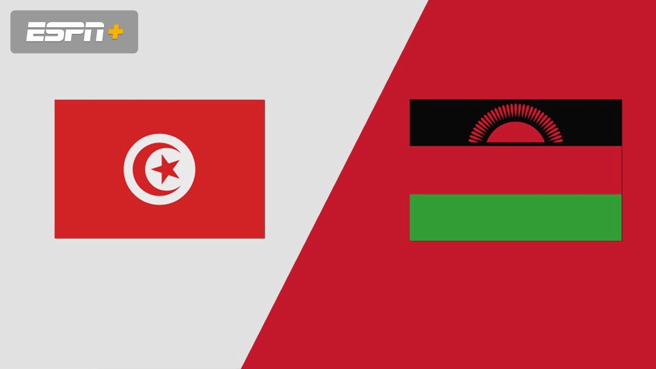 Tunisia vs. Malawi (Round 6, Group H)