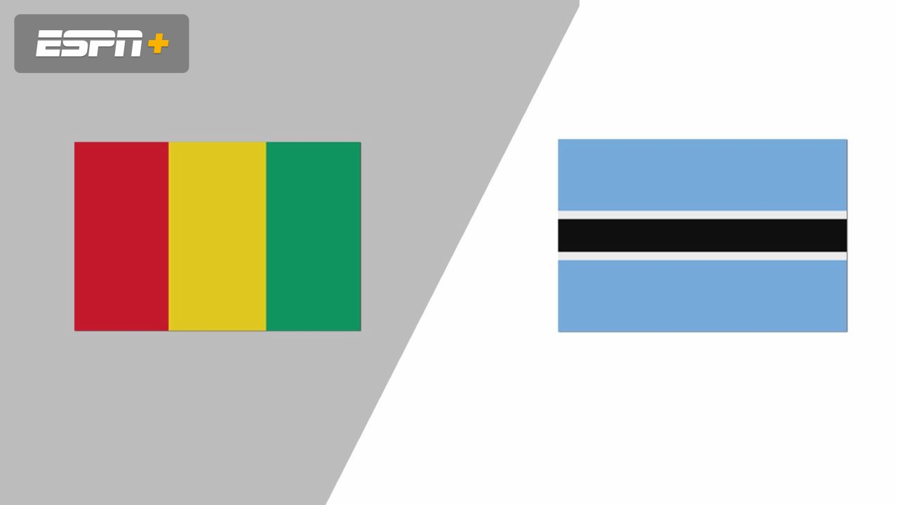 Guinea vs. Botswana (Round 10, Group G)