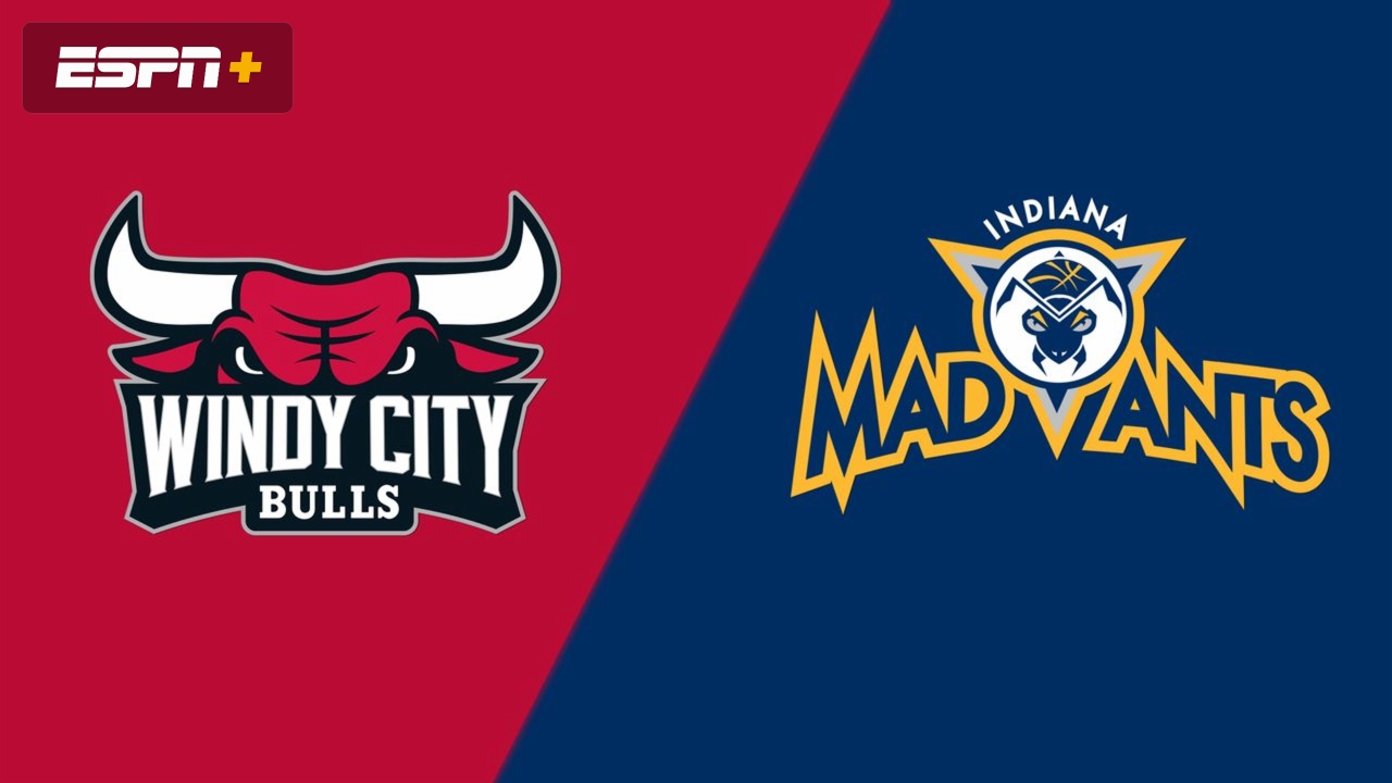 Windy City Bulls vs. Indiana Mad Ants
