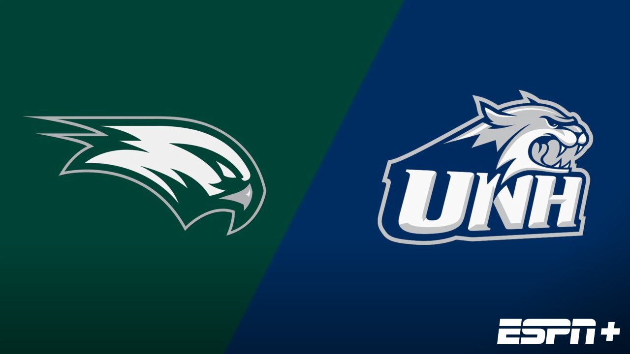 Wagner vs. New Hampshire