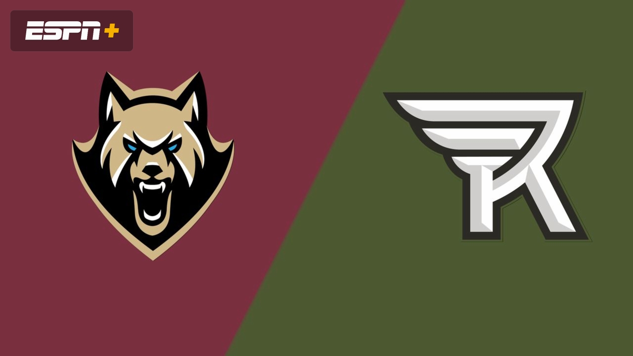 Albany FireWolves vs. Rochester Knighthawks