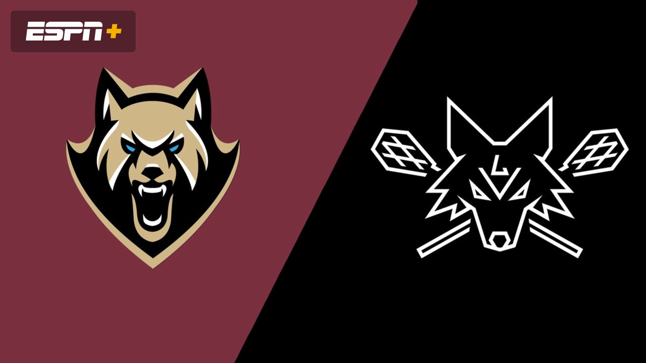 Albany FireWolves vs. Las Vegas Desert Dogs