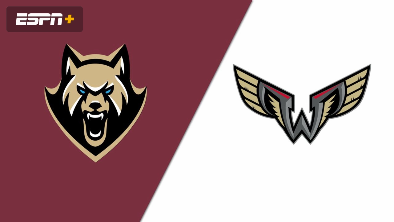 Albany FireWolves vs. Philadelphia Wings