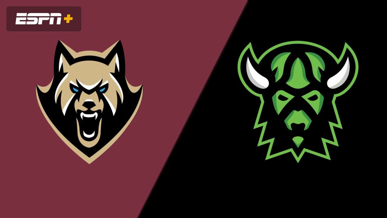 Albany FireWolves vs. Saskatchewan Rush