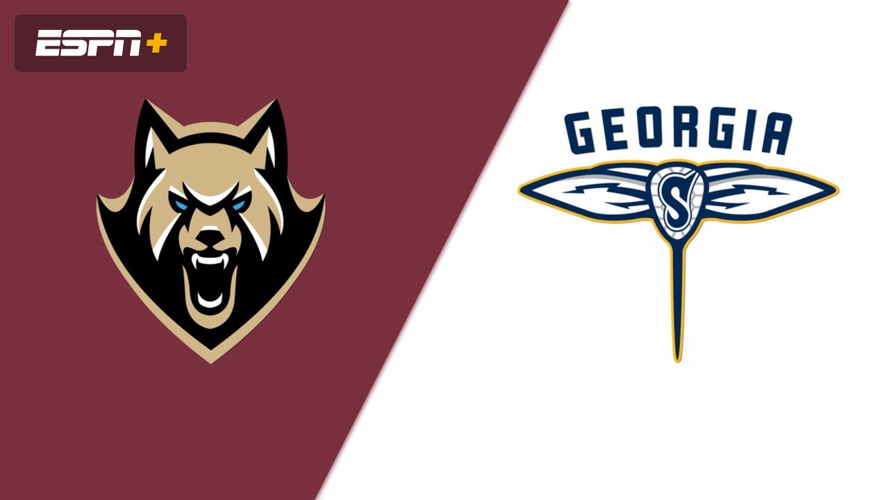 Albany FireWolves vs. Georgia Swarm