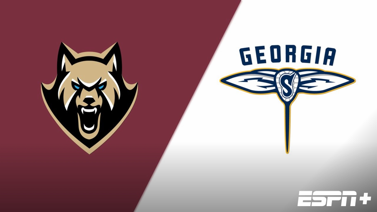 Albany FireWolves vs. Georgia Swarm