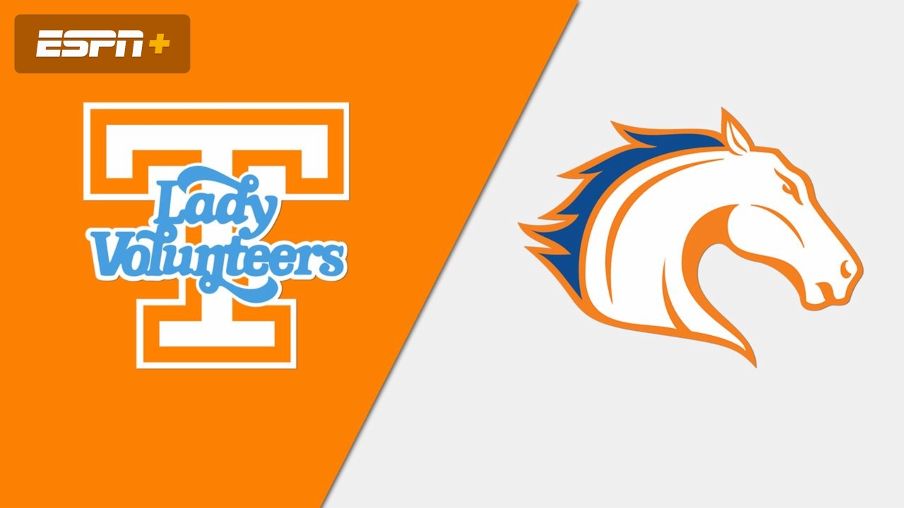#2 Tennessee vs. UT Arlington