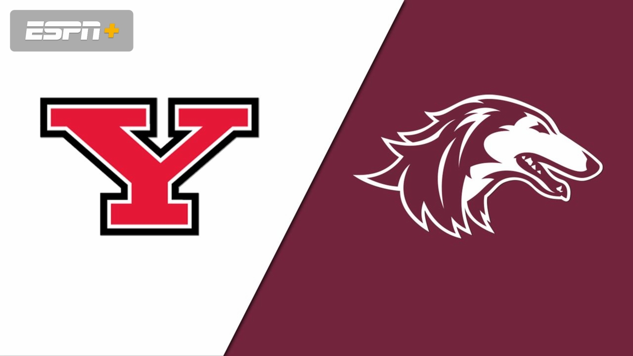 Youngstown State vs. Southern Illinois