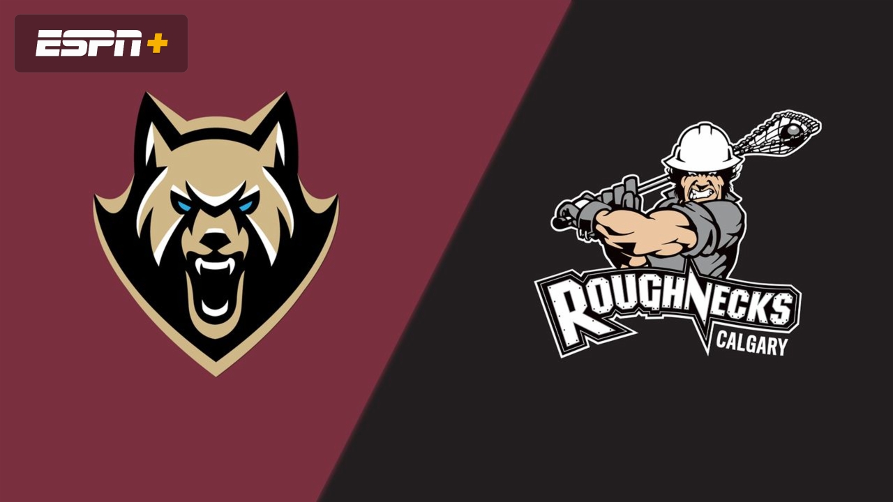 Albany FireWolves vs. Calgary Roughnecks