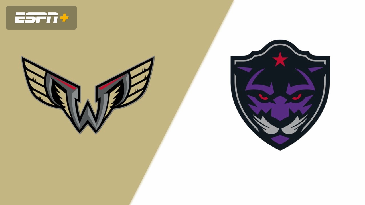 Philadelphia Wings vs. Panther City Lacrosse Club