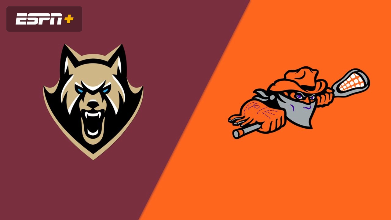 Albany FireWolves vs. Buffalo Bandits (Finals Game 2)