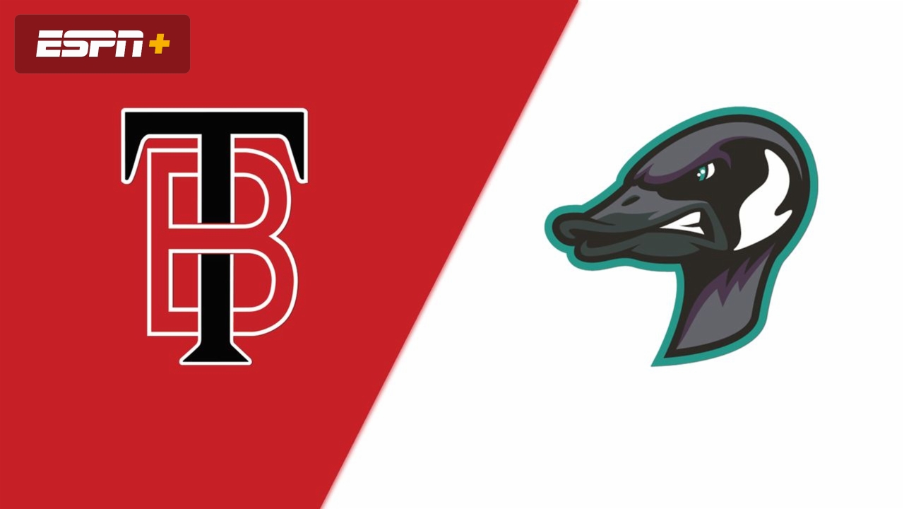 Thunder Bay Border Cats vs. Rochester Honkers