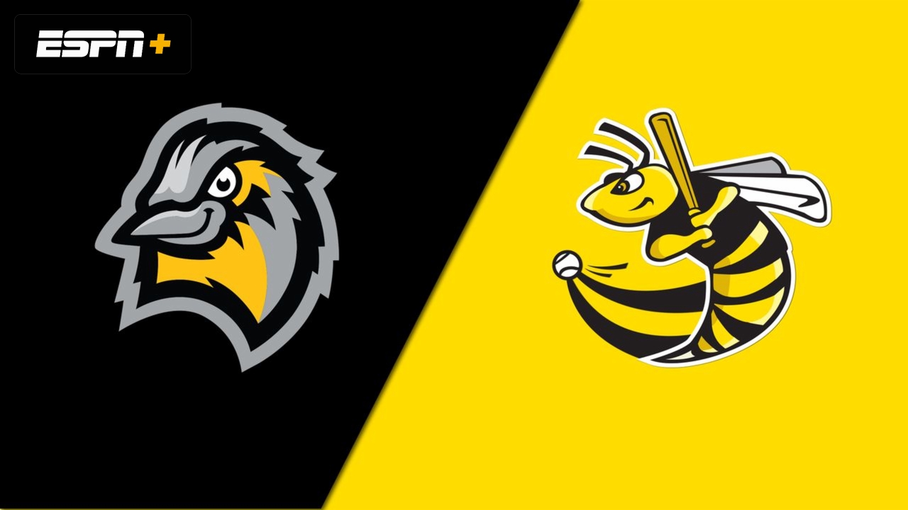 Bismarck Larks vs. Willmar Stingers