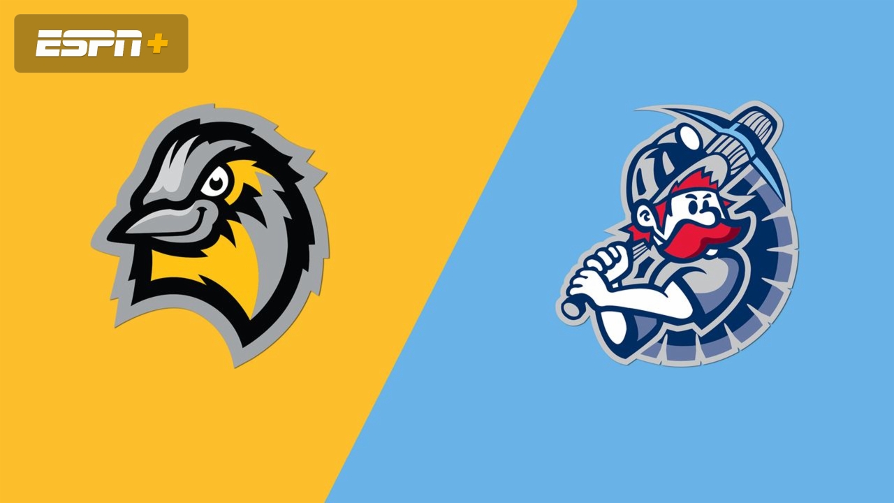 Bismarck Larks vs. St. Cloud Rox