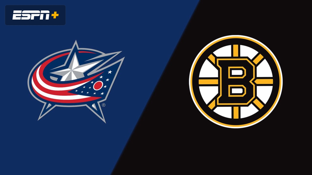Columbus Blue Jackets vs. Boston Bruins