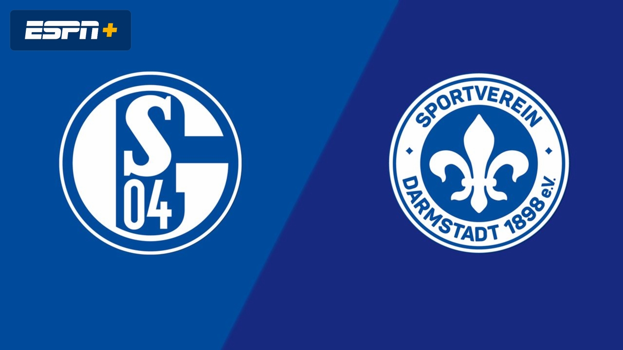 FC Schalke 04 vs. SV Darmstadt 98