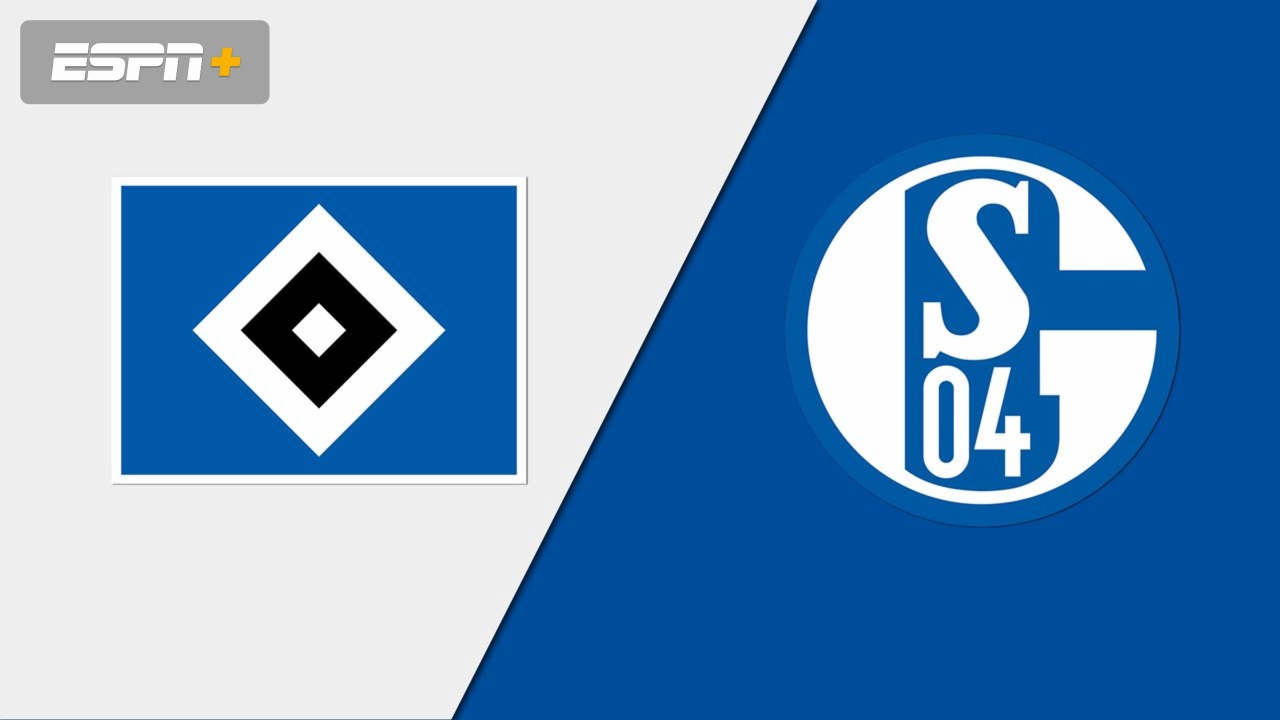 Hamburger SV vs. FC Schalke 04