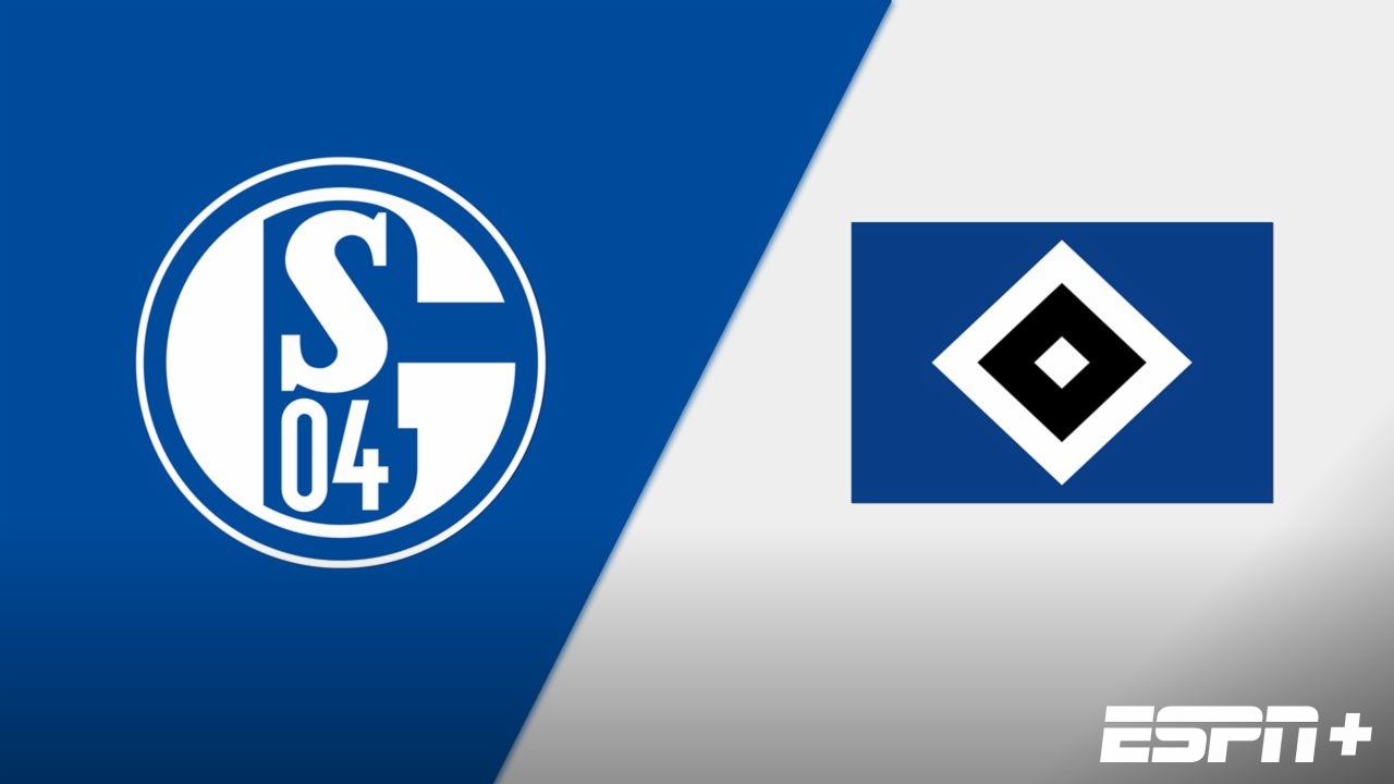 FC Schalke 04 vs. Hamburger SV