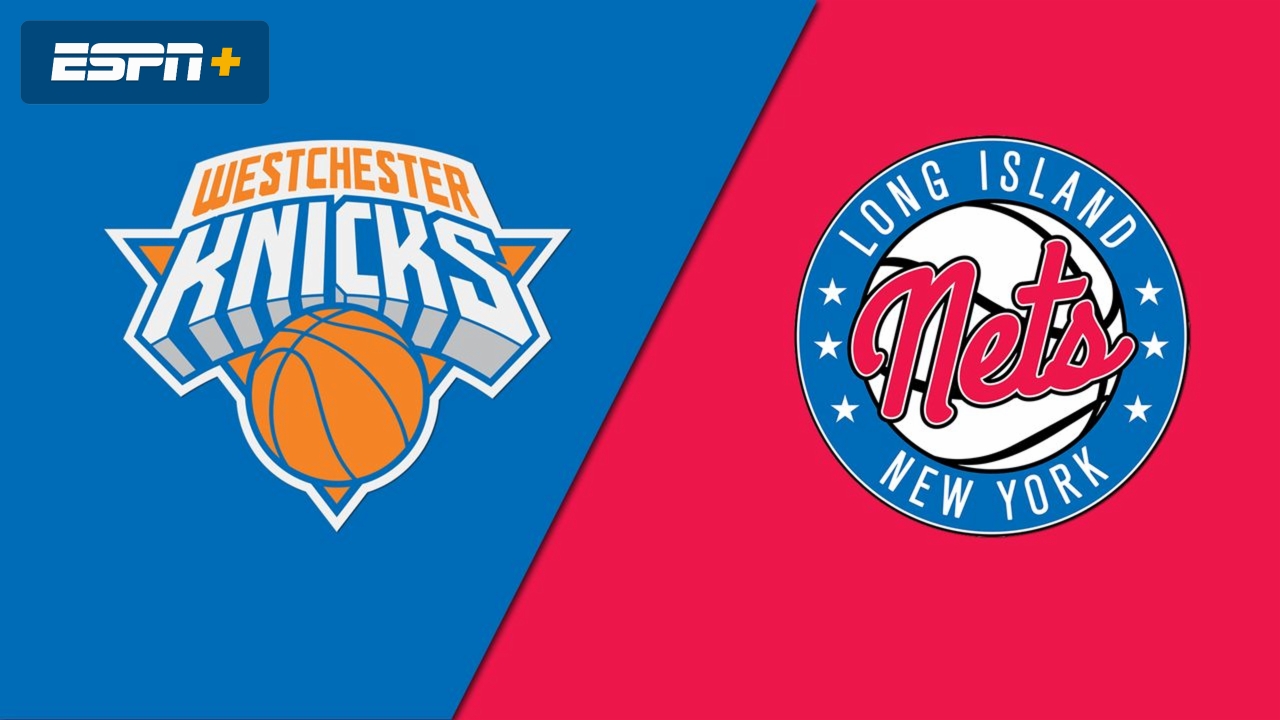 Westchester Knicks vs. Long Island Nets