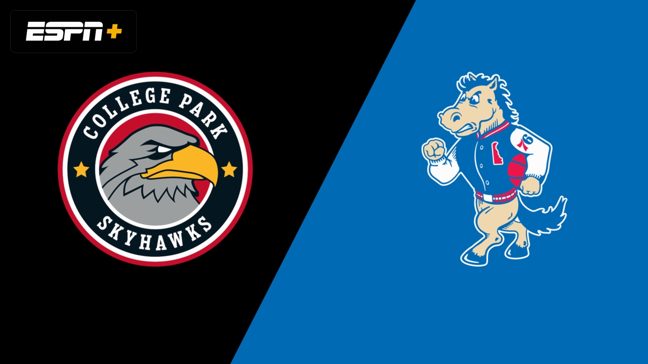 College Park Skyhawks vs. Delaware Blue Coats