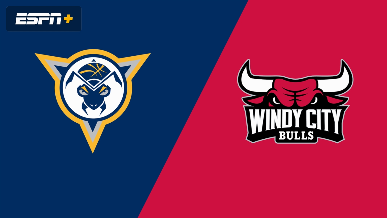 Indiana Mad Ants vs. Windy City Bulls
