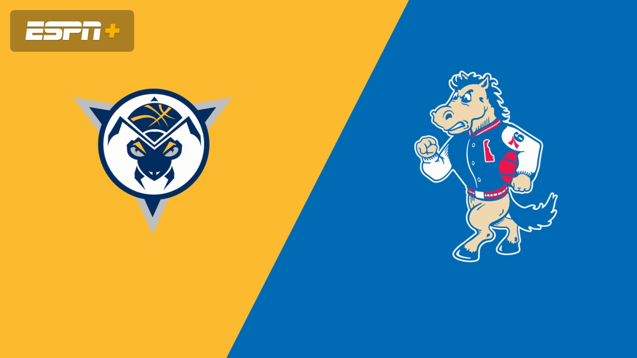 Indiana Mad Ants vs. Delaware Blue Coats