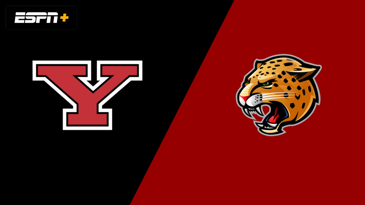 Youngstown State vs. IU Indianapolis