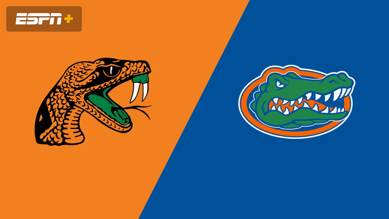 Florida A&M vs. #21 Florida (M Basketball)