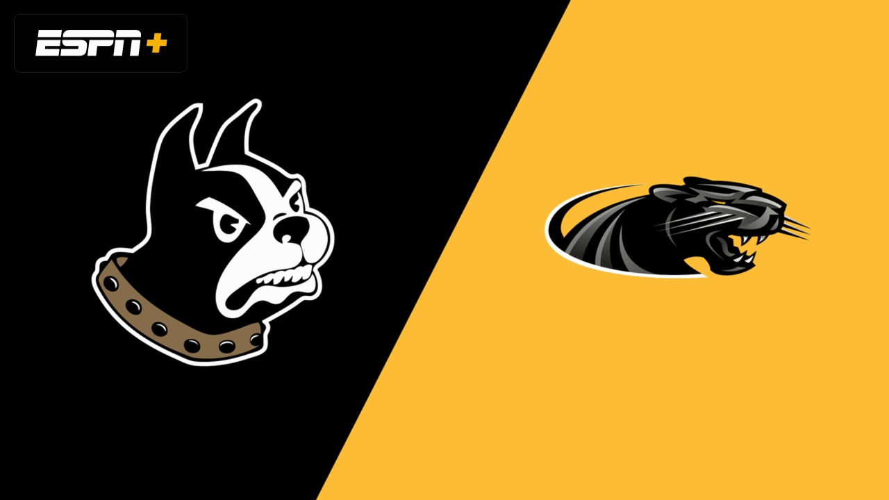 Wofford vs. Milwaukee