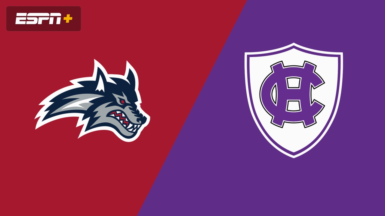 Stony Brook vs. Holy Cross
