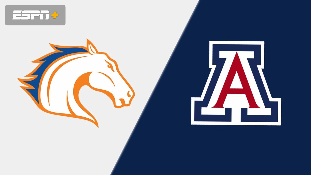 UT Arlington vs. Arizona