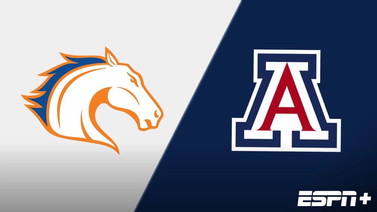 UT Arlington vs. Arizona
