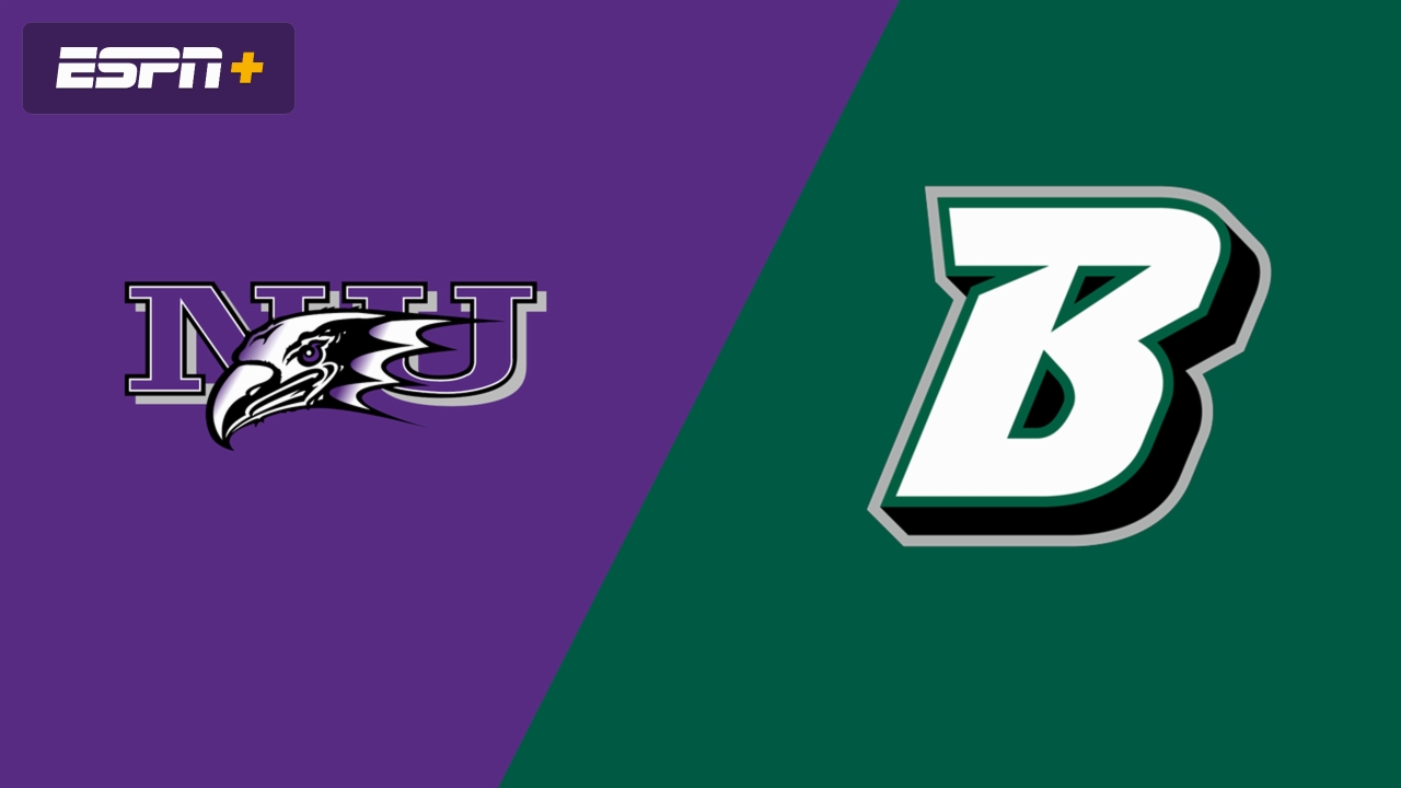 Binghamton vs. Niagara