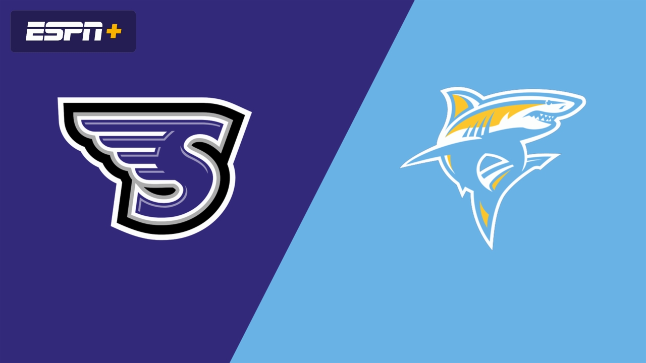 Stonehill vs. Long Island University