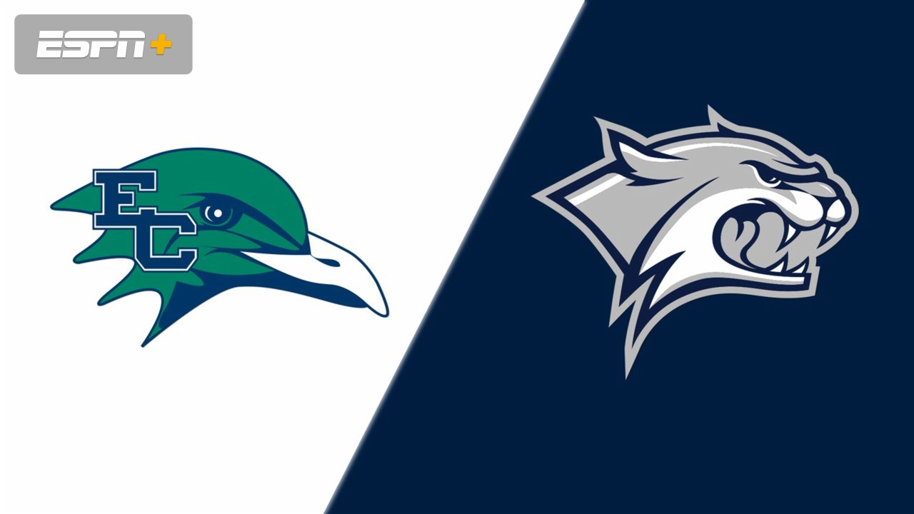Endicott vs. New Hampshire