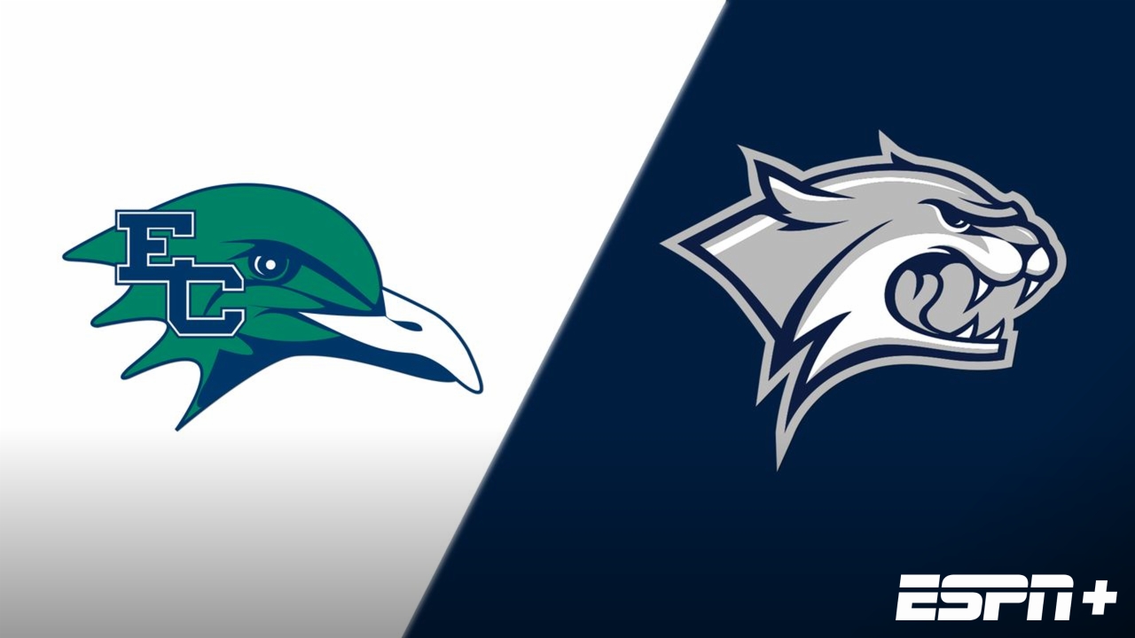 Endicott vs. New Hampshire