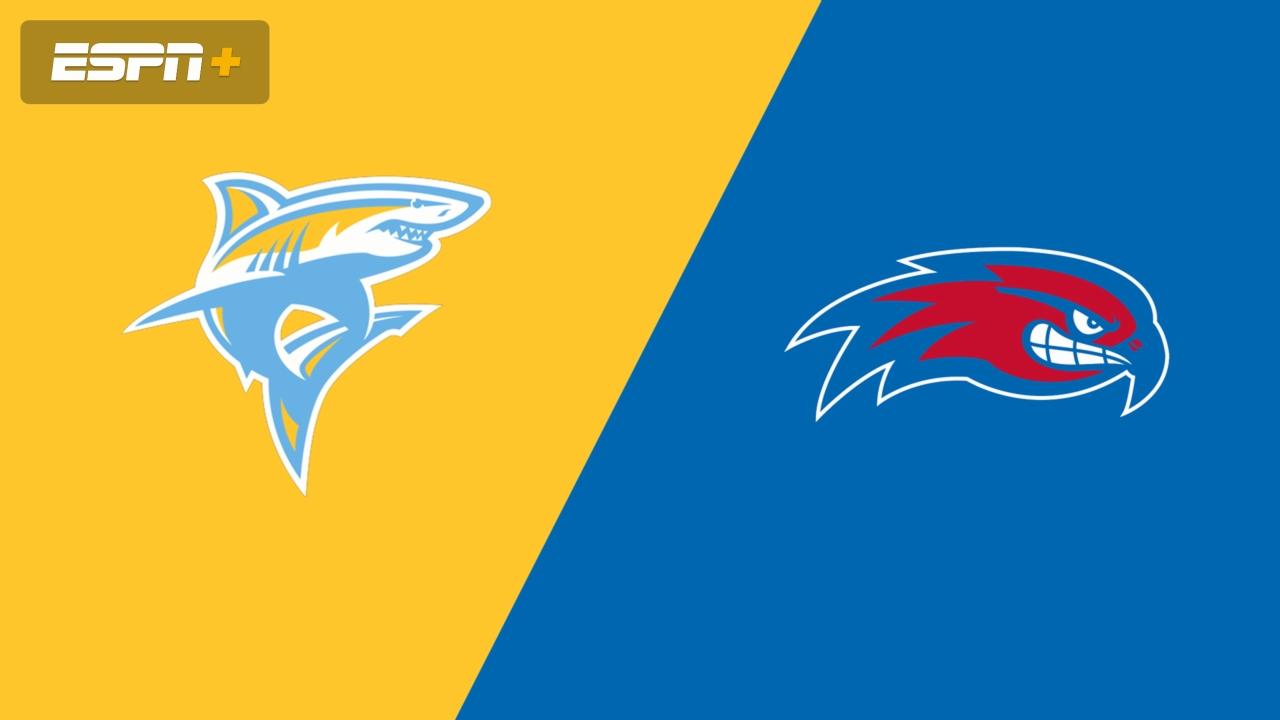 Long Island University vs. UMass Lowell