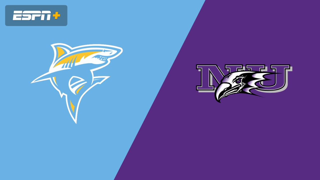 Niagara vs. Long Island University