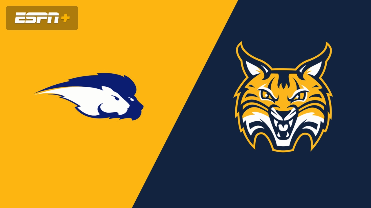 Hofstra vs. Quinnipiac