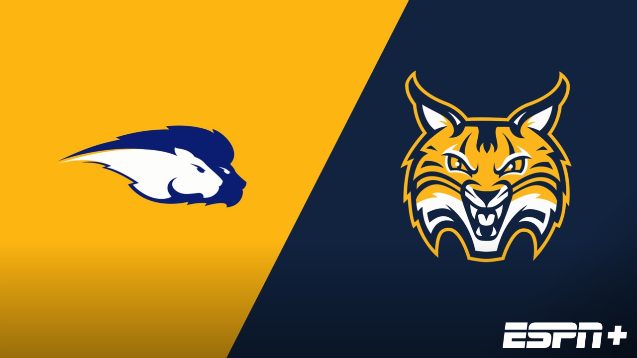 Hofstra vs. Quinnipiac
