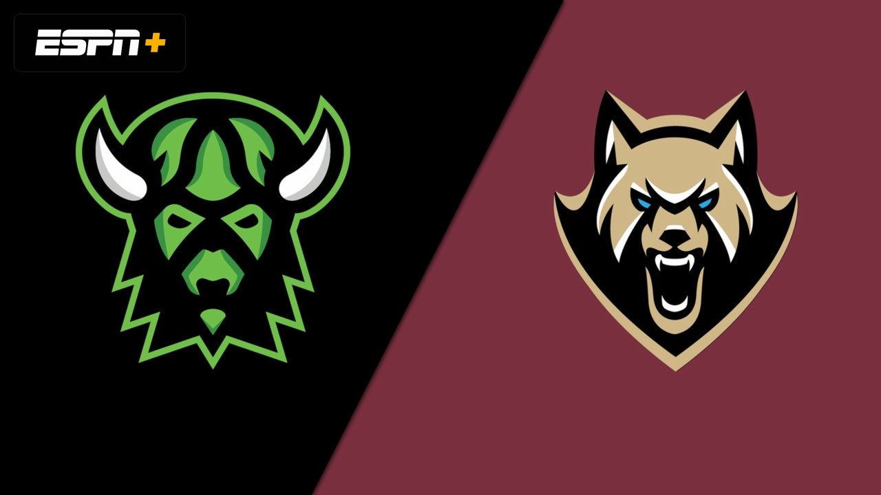 Saskatchewan Rush vs. Albany FireWolves