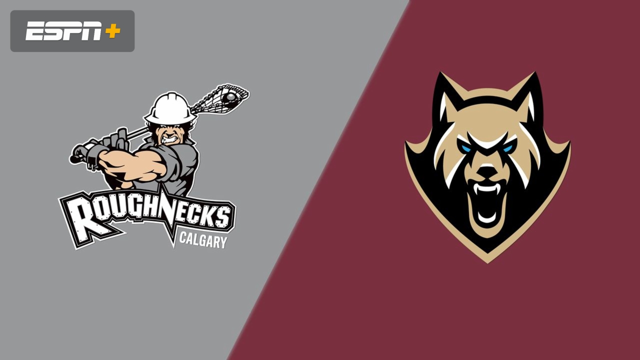 Calgary Roughnecks vs. Albany FireWolves
