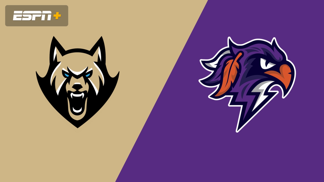 Albany FireWolves vs. Halifax Thunderbirds