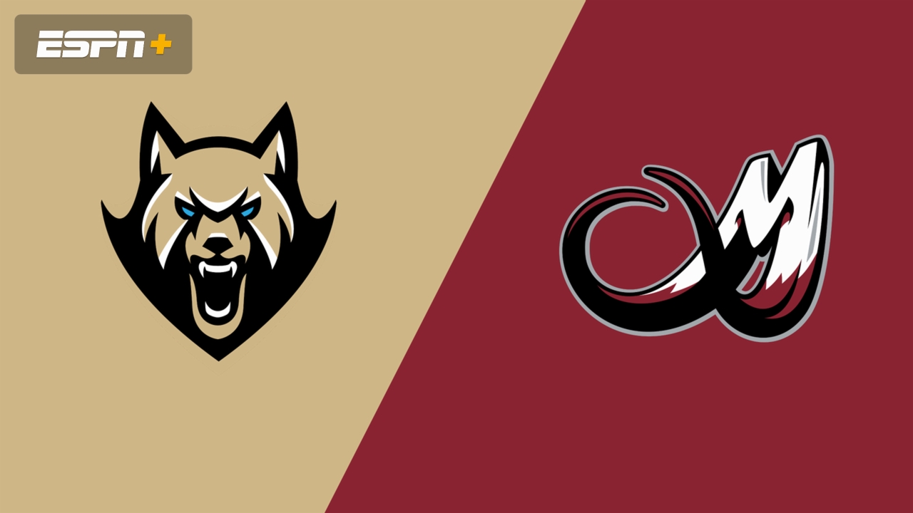 Albany FireWolves vs. Colorado Mammoth
