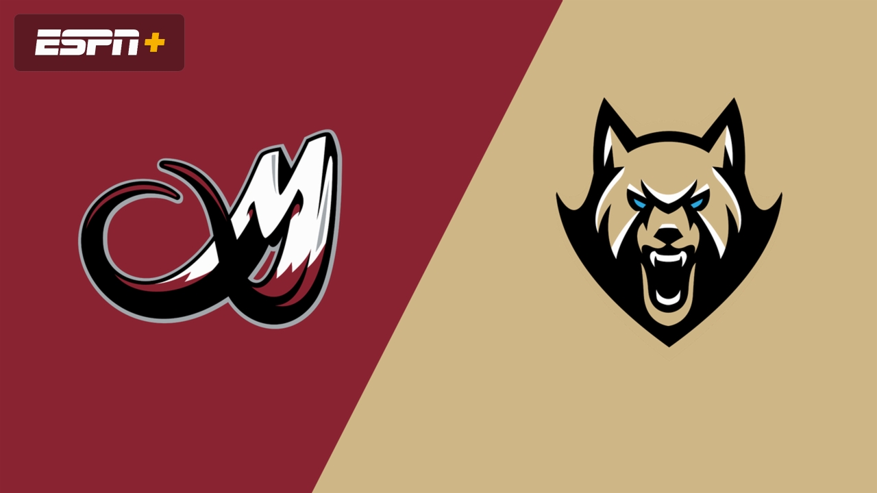 Colorado Mammoth vs. Albany FireWolves