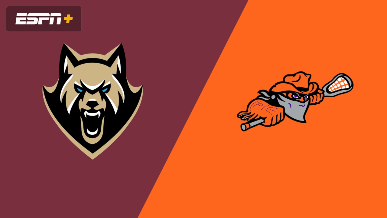 Albany FireWolves vs. Buffalo Bandits